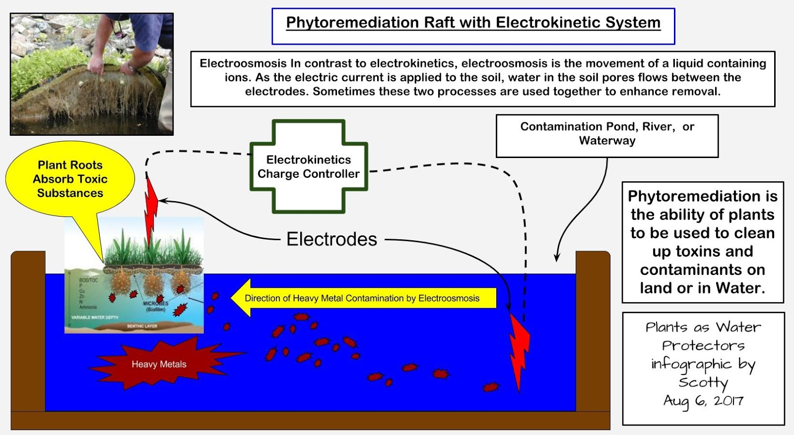The Pollution Solution Phytoremediation Rafts with