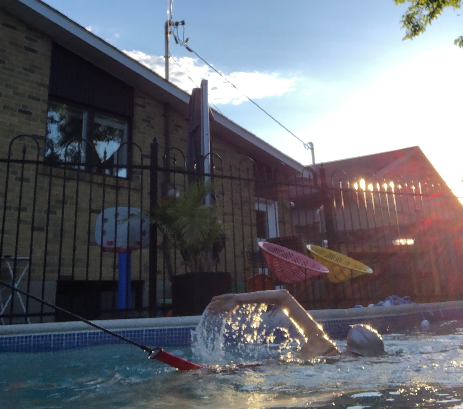 Pandemic Swim Diaries A swim tether Swimming Holes We Have Known