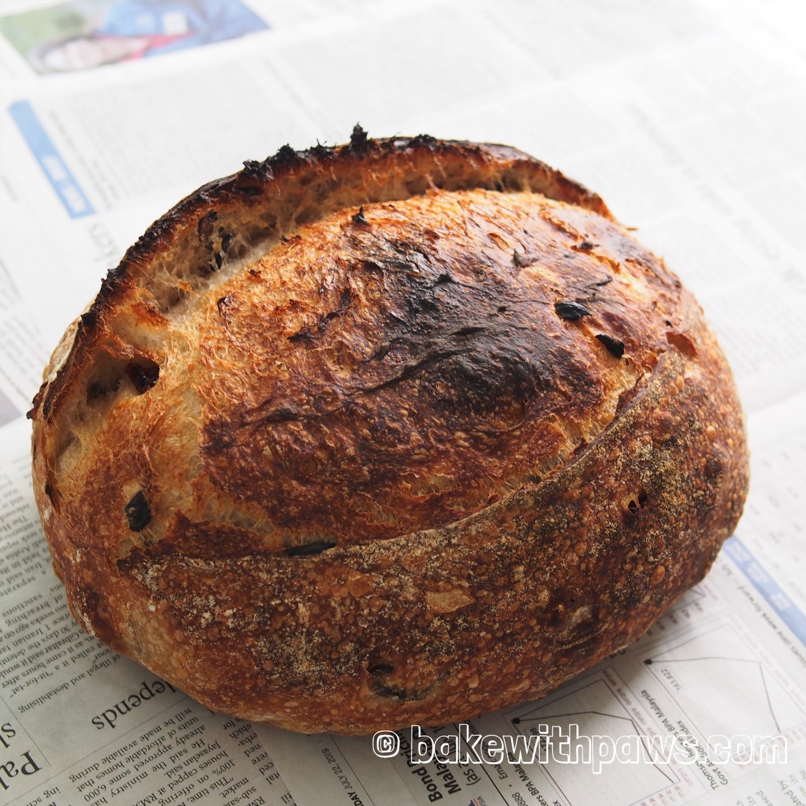Sun Dried Tomato and Olive Sourdough Bread BAKE WITH PAWS