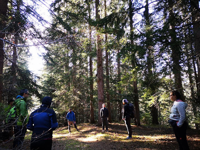 bagno di foresta in trentino