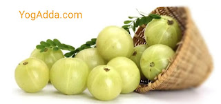 Amla benefits GooseBerry benefits