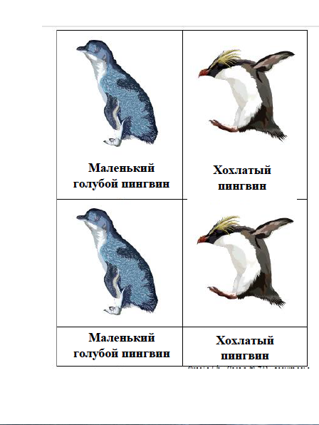 день пингвина задания. пингвин обводка. пингвин звуковая схема 1 класс. звуковые схемы слов для дошкольников. пингвины задания для детей.
