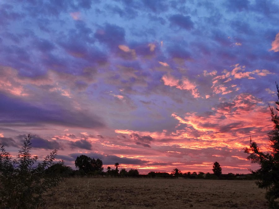 AMANECE EN EL TERRAO