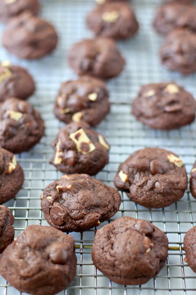 Double Chocolate Chunk Cookies Karen's Kitchen Stories