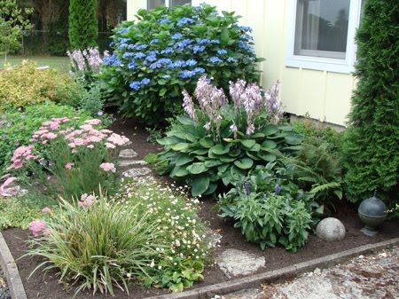 Bleu Hydrangea Transformation Of A Garden And A Self