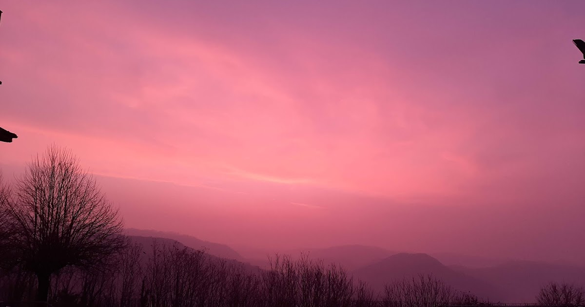 Historias para aburrir mariposas