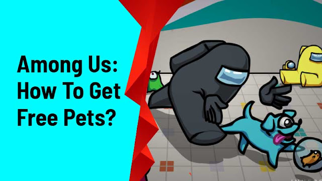 How to Get Pets in Among Us