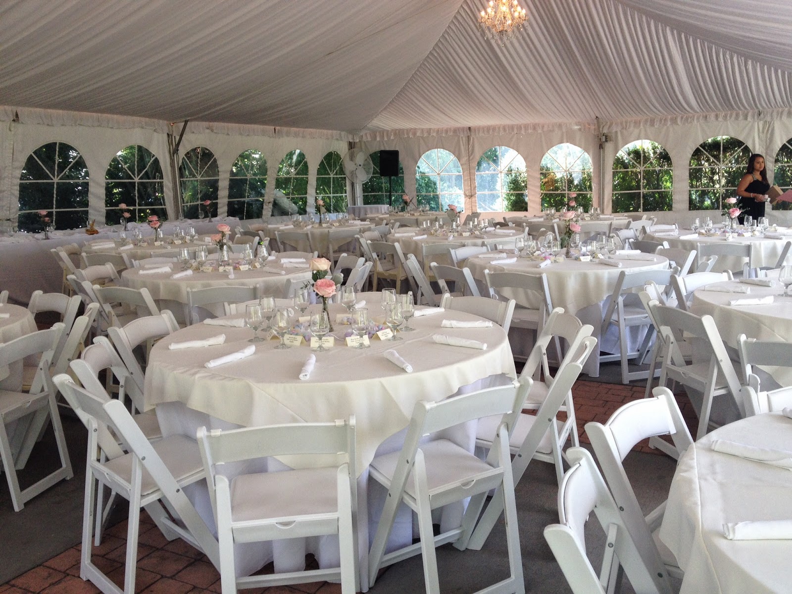 Wedding Reception in Leesburg VA - Thomas Birkby House - Northern VA ...