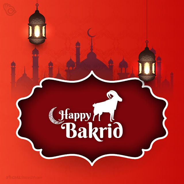 Happy Eid AlAdha 2024 Wishes, Images, Quotes, Photos {Bakra Eid