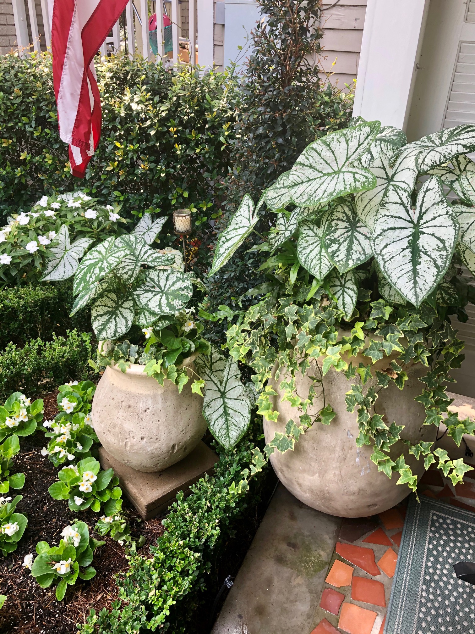 The Uptown Acorn Olive Jar Blooms