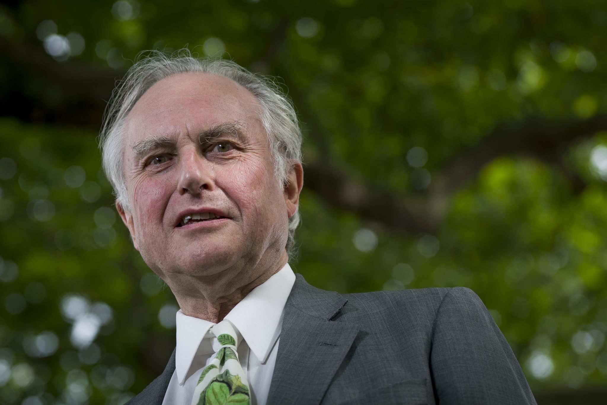 Richard Dawkins loses humanist award after transgender criticism