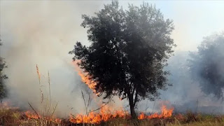 kauyen Burin na garin Nablus a Yammacin Gabar Kogin Jordan da saka mamaye. kauyen Burin na garin Nablus a Yammacin Gabar Kogin Jordan da saka mamaye.