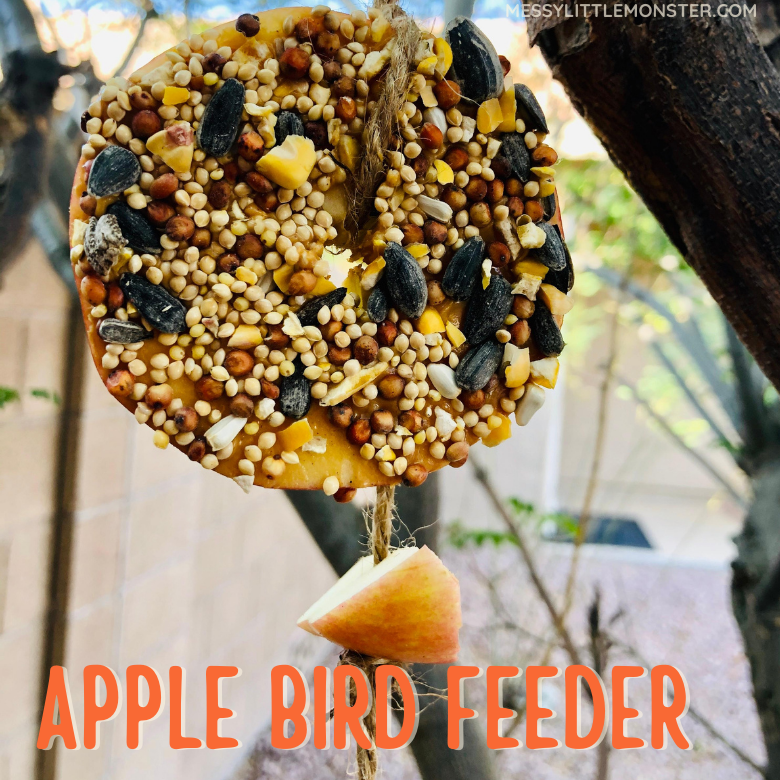 Apple Bird Feeder Messy Little Monster