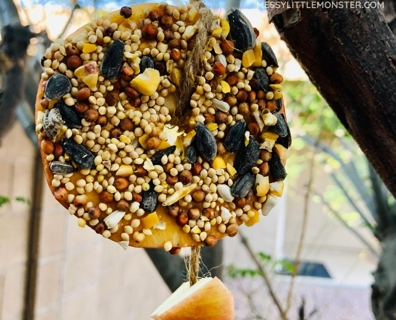Apple Bird Feeder Messy Little Monster