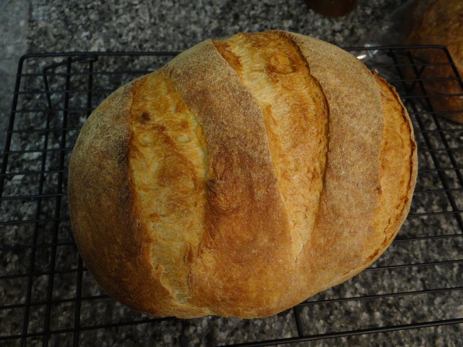 The Bread Maiden The Science Behind... using a couche