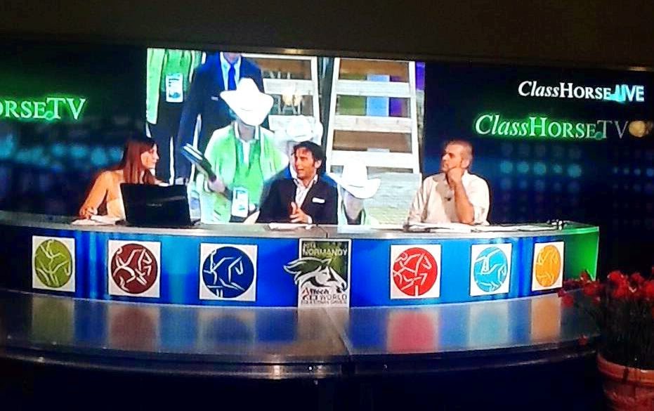 WEG 2014: DIRETTA SKY CANALE 221