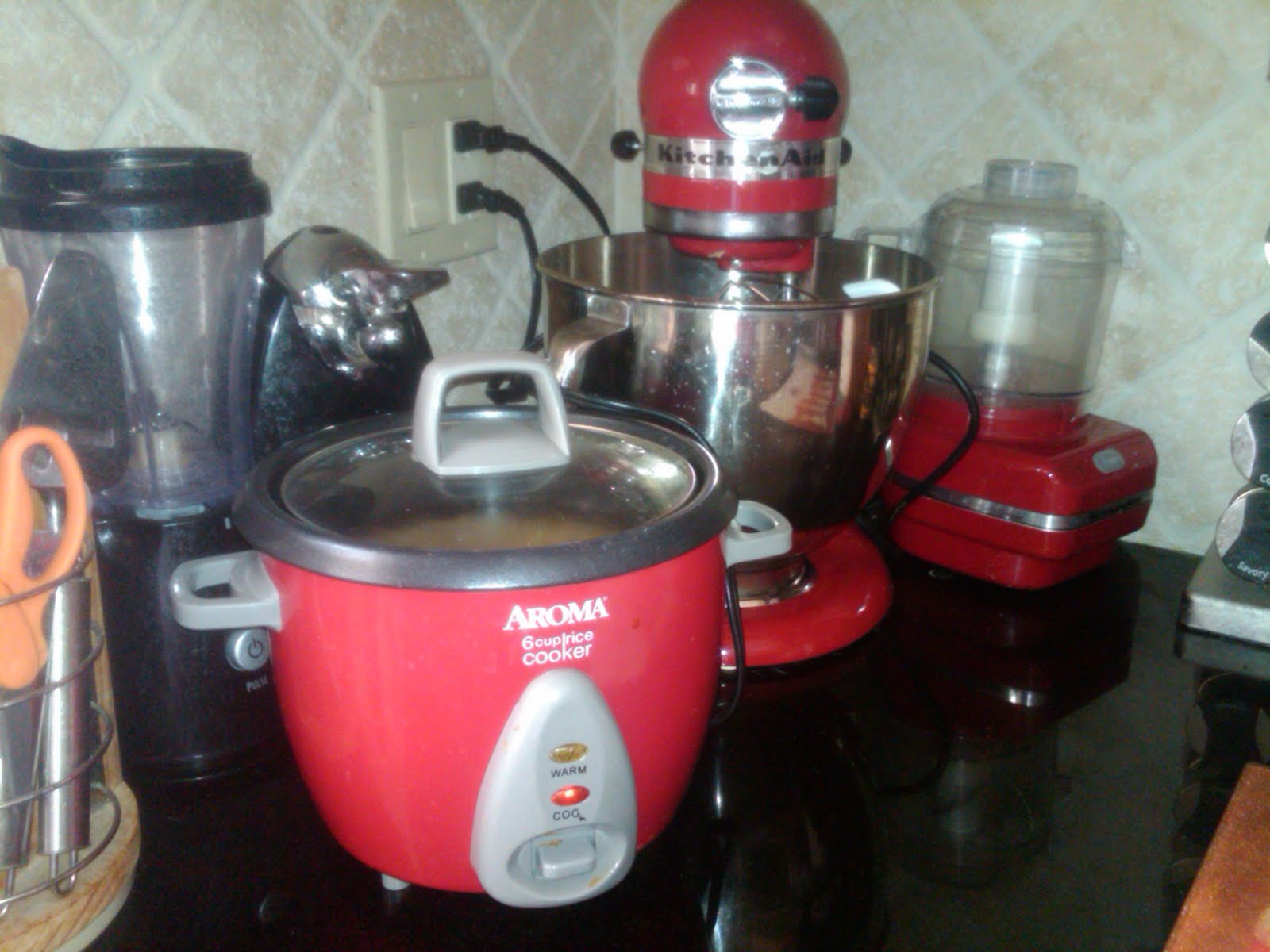 Life Moves Pretty Fast... Ode to my rice cooker. and other things that