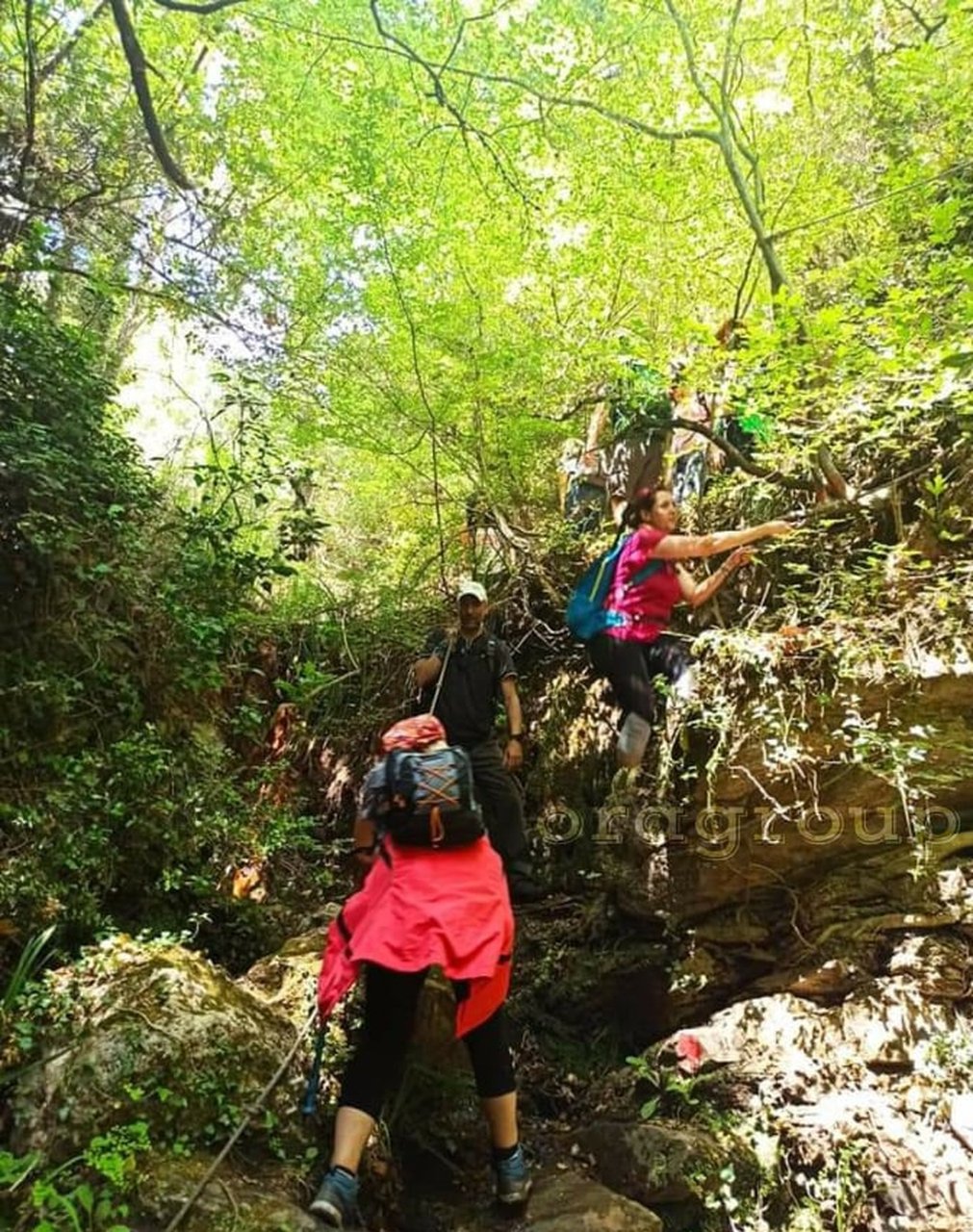 Φωτογραφίες