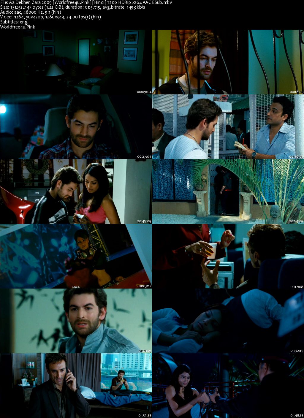 Aa Dekhen Zara 2009 Hindi Movie Download || HDRip 720p