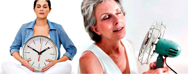 Menopausia síntomas tratamientos causas mujeres