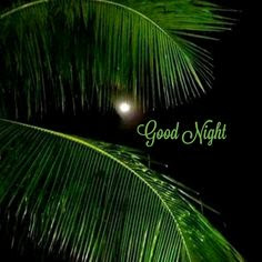 Top good night image hd Free download wallpaper  of good night pictures HD pics foWhatsapppp