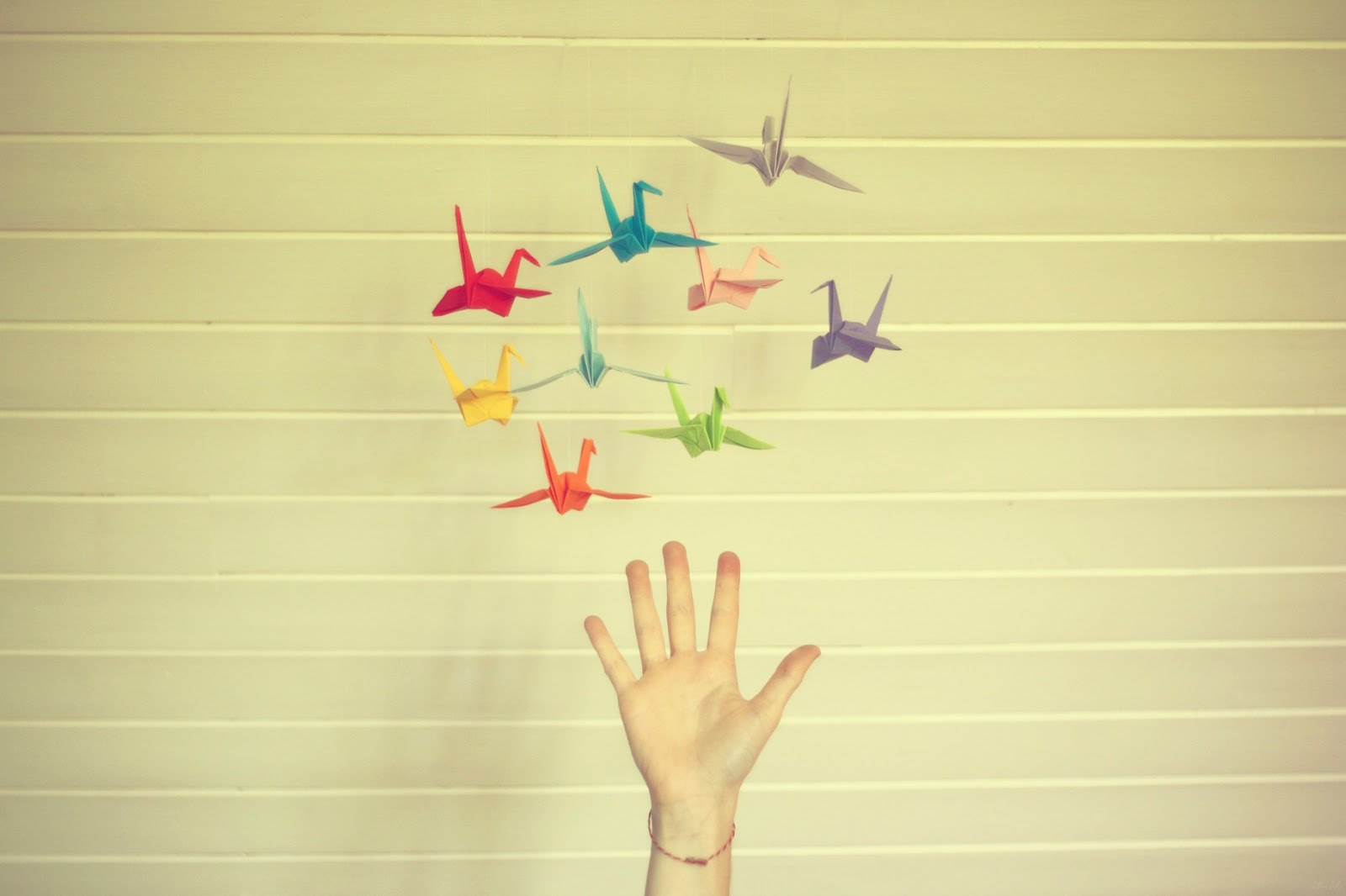 المنتجون قبل النوم