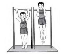 Daya otot kekuatan tahan dan mengukur contohnya lengan suatu untuk latihan dan bahu Contoh Soal