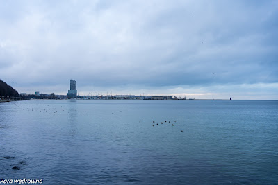 Port w Gdyni widziany z plaży w Redłowie, z lewej bulwar Nowowiejskiego