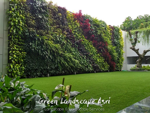 Jasa Pembuatan Vertical Garden Bojonegoro dan Harga Pasang Vertical Garden di Bojonegoro