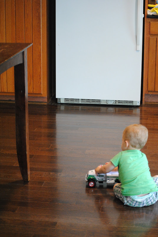 dark hardwood floors