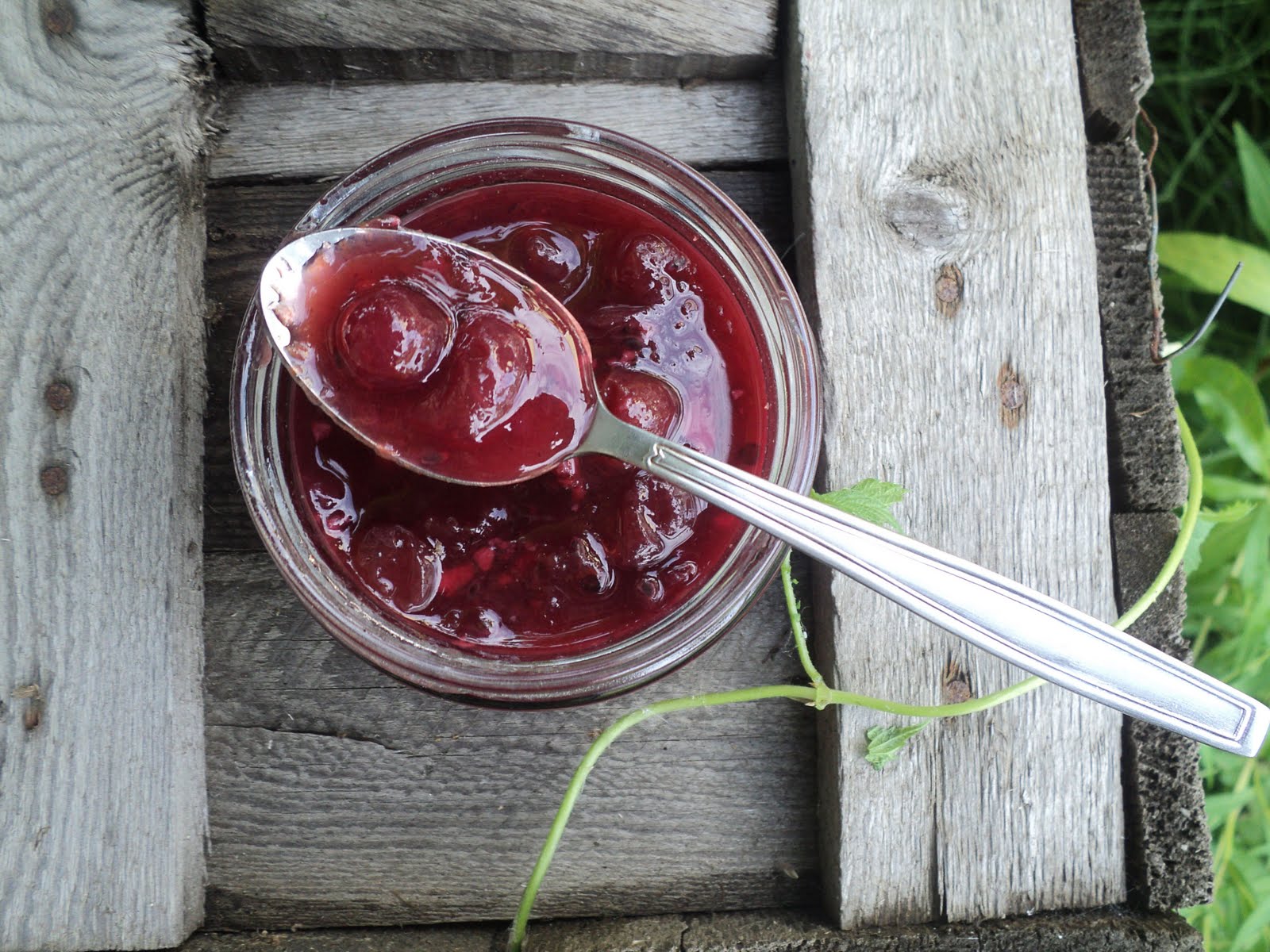 Соус ткемали. Сацебели соус грузия. Ткемали красный. Соусы к мясу на зиму. Сливовый соус ткемали.