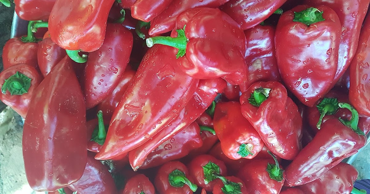 AJVARKA OLD MACEDONIAN PEPPER VARIETY Macedonian Cuisine