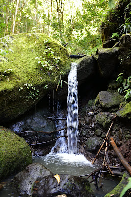 Waterfall Muliwai trail to Waimanu Hawaii Photographer Sarah Bello