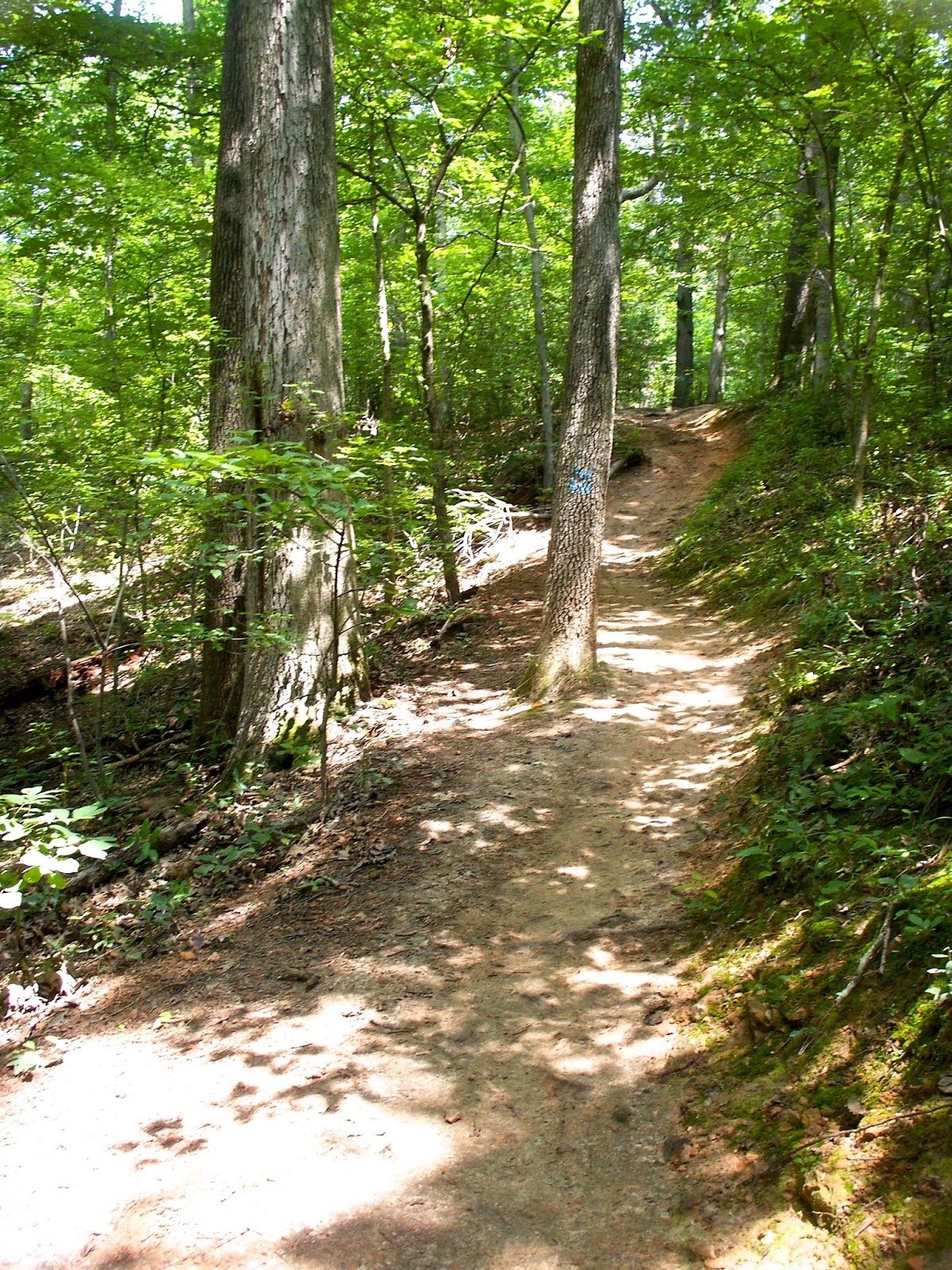 Chuck's Adventures Biking Fayetteville, Arkansas' Lake Fayetteville Trail