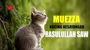 Kucing Menurut Islam Dan Pakar