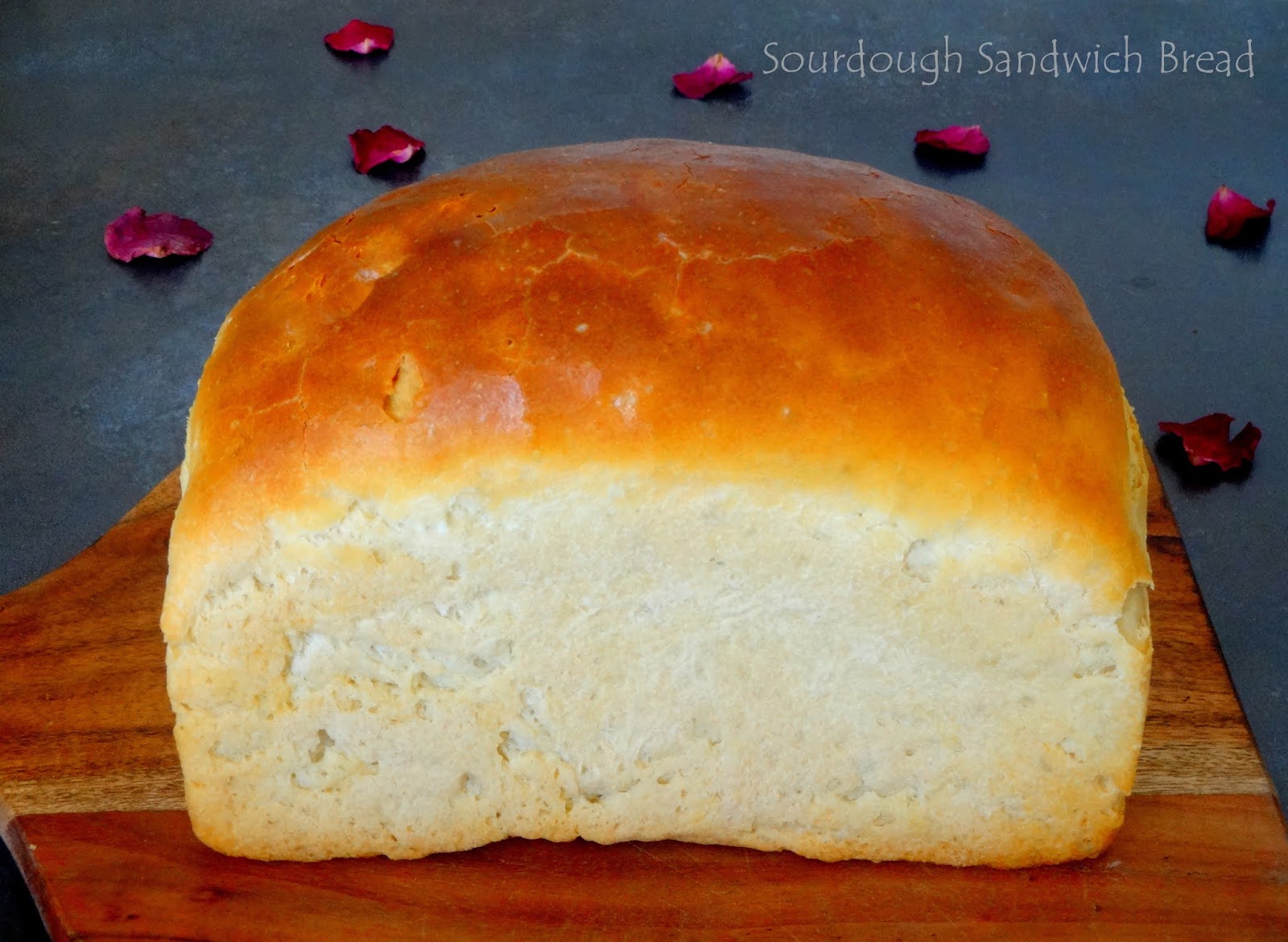 Sourdough Discard Sandwich Bread (Vegan) / BreadBakers Ambrosia