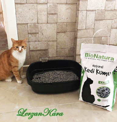 Kedi Kumu Önerisi