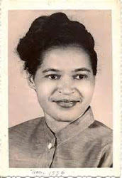 rosa parks freedom fighter depth perspectives young another way