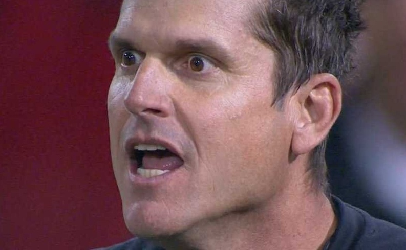 Image result for harbaugh mad