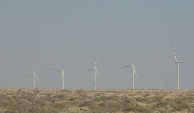 Una empresa americana firma un contrato con una eléctrica propiedad del rey de Marruecos para construir un parque eólico en el Sáhara Occidental.