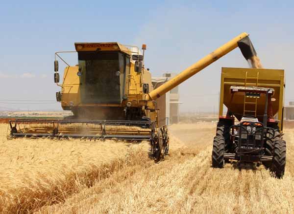 مزارعو-السويداء-يطالبون-اللجنة-الزراعية-بتحديد-أجور-الحصادات.