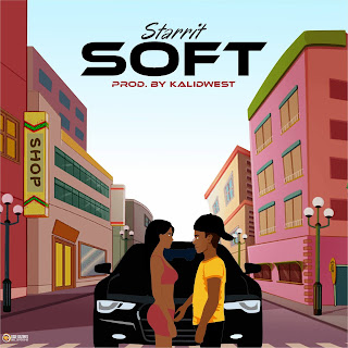 soft ft tekno