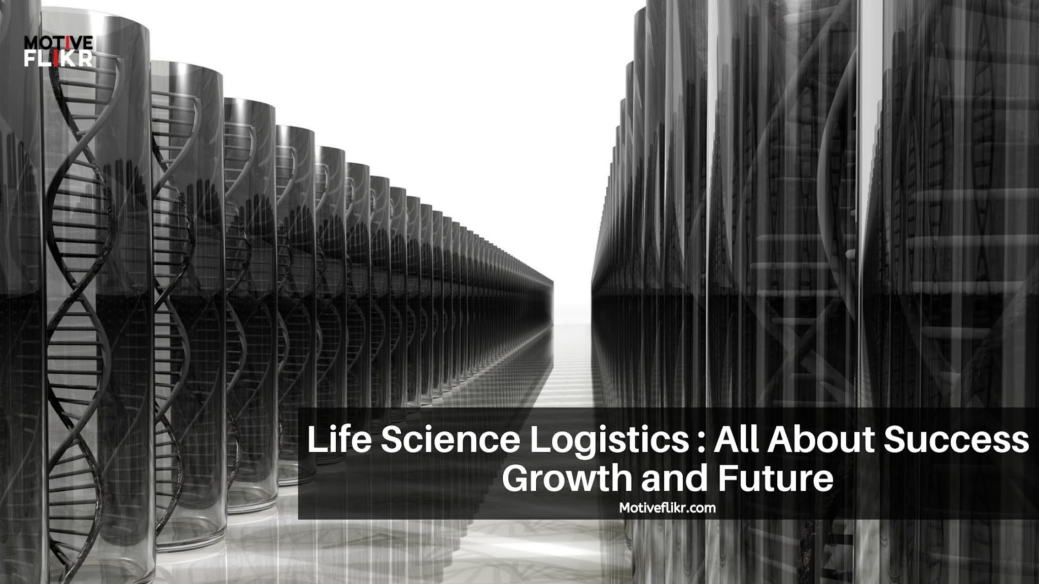 Life Science Logistics About Success Growth and Future