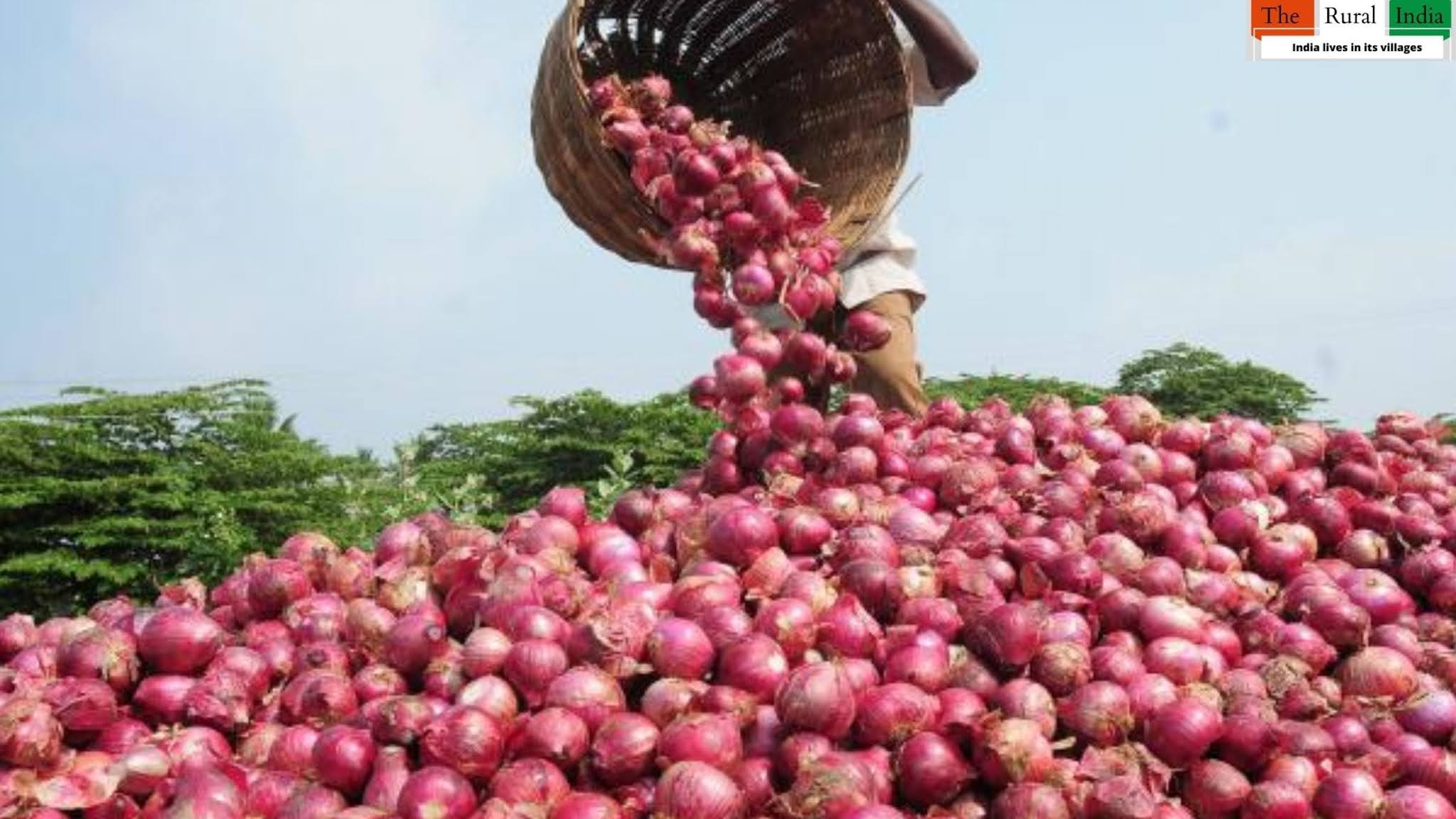 Onion farming : प्याज की खेती कैसे करें