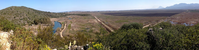 Panoràmica del Bullent i la marjal des de la Muntanyeta Verda