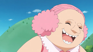 ワンピースアニメ 四皇ビッグ・マム 幼少期 シャーロット・リンリン ONE PIECE BIG MOM Charlotte Linlin Child