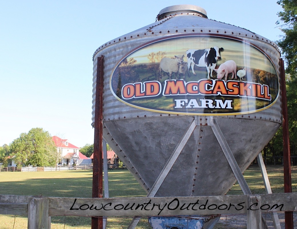 Lowcountry outdoors Old McCaskill Farm in Rembert Olde English District