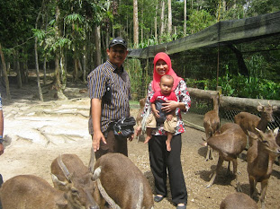 Deer Land Kuala Gandah