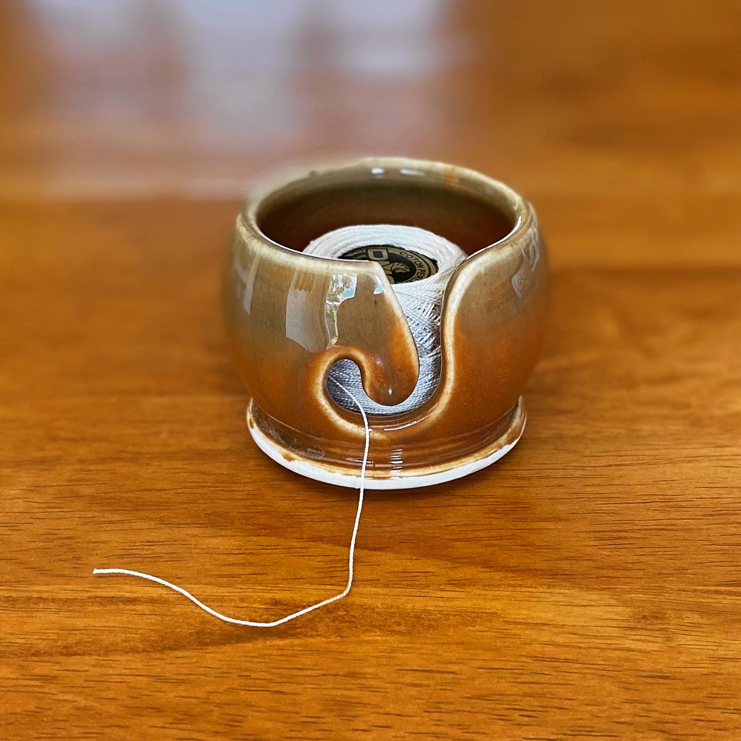 A Happy Bluebird a-happy-bluebird