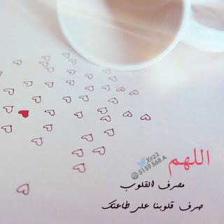 434aa1908d858c1cfc88a3255e1e6021._